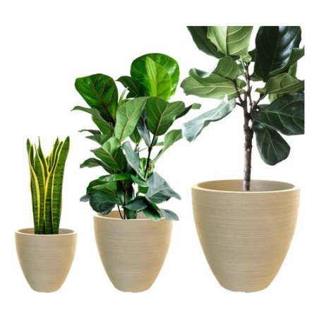 Set 3 Macetas Rusticas Redonda Cemento Liviana Resistente Uv