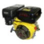 Motor Explosion Horizontal Naftero 9 Hp Fema Uso Universal