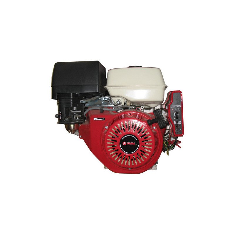 Motor Explosion Horizontal Naftero 16hp Fema Generador Nafta