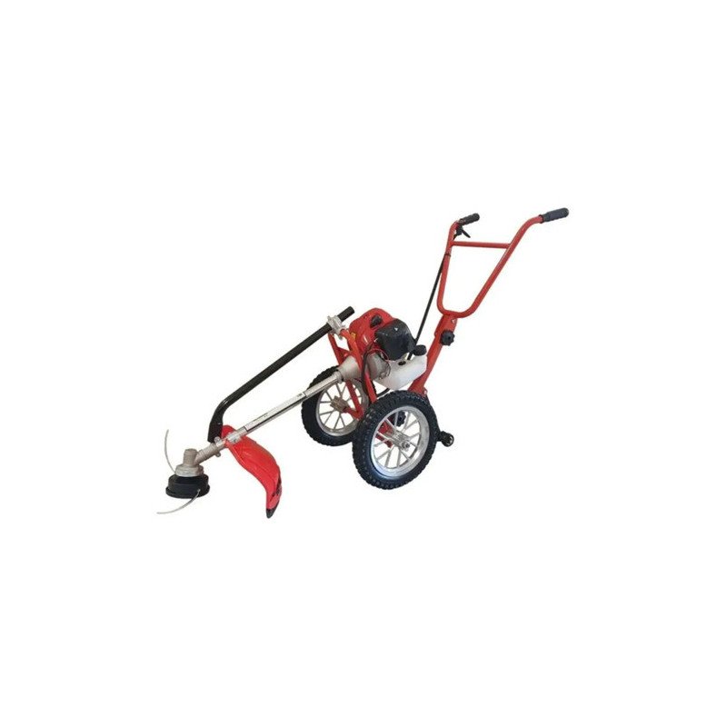 Desmalezadora Fema De Empuje 520 52cc C Disco Nafta C Widia