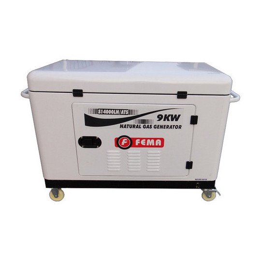 Generador Marca Fema 9 Kw A Gas Natural 20hp Monofasico
