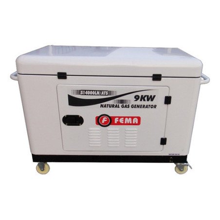 Generador Marca Fema 9 Kw A Gas Natural 20hp Monofasico