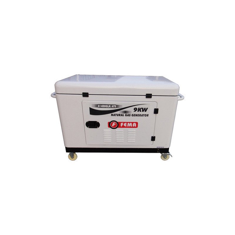 Generador Marca Fema 9 Kw A Gas Natural 20hp Monofasico