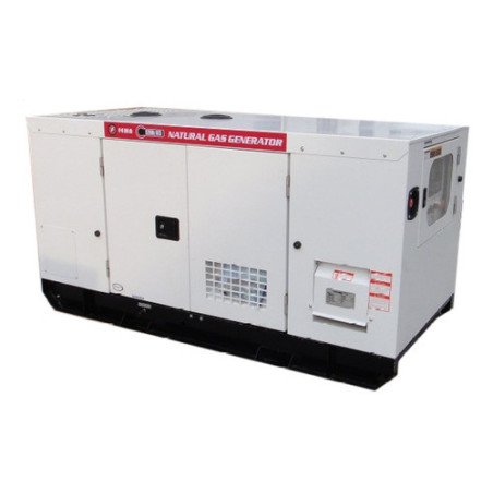 Generador Marca Fema 20 Kw A Gas Natural