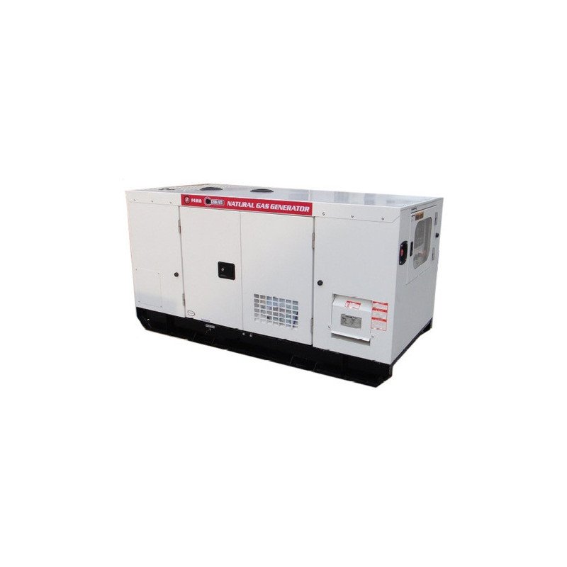 Generador Marca Fema 20 Kw A Gas Natural