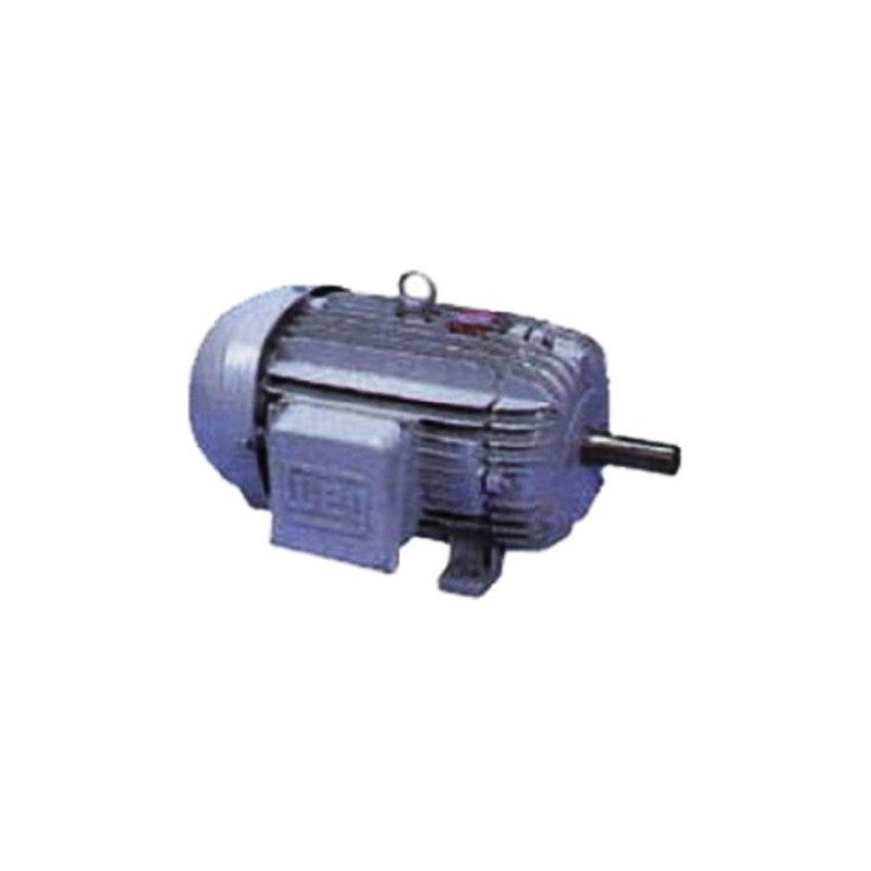 Motor Eléctrico Trifásico 2 Cv 1000rpm Carcasa Acero Ip55