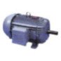 Motor Eléctrico Trifásico 2 Cv 1000rpm Carcasa Acero Ip55