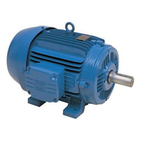 Motor Eléctrico Trifásico 25 Cv 3000rpm Carcasa Acero Ip55