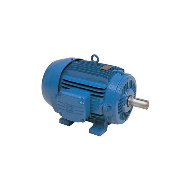 Motor Eléctrico Trifásico 25 Cv 3000rpm Carcasa Acero Ip55