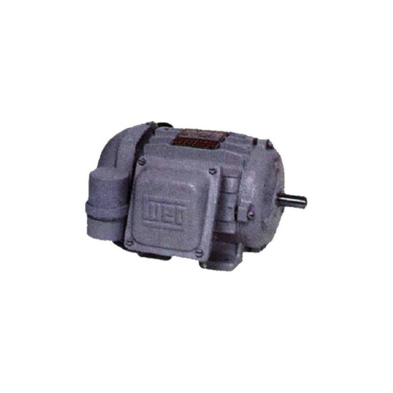 Motor Eléctrico Monofásico 1,5 Cv 3000rpm Carcasa Nema Ip55