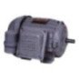 Motor Eléctrico Monofásico 1,5 Cv 3000rpm Carcasa Nema Ip55