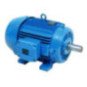 Motor Eléctrico Monofásico 0,33 Cv 3000rpm Carcasa Nema Ip21