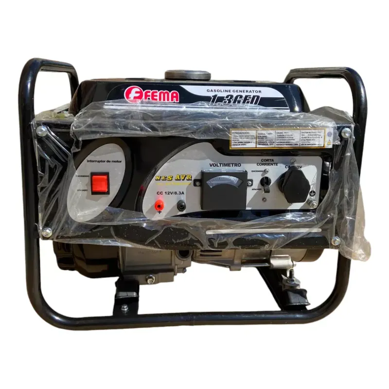 Grupo Electrogeno Generador Eléctrico Fema 3.5hp 1200w Nafta