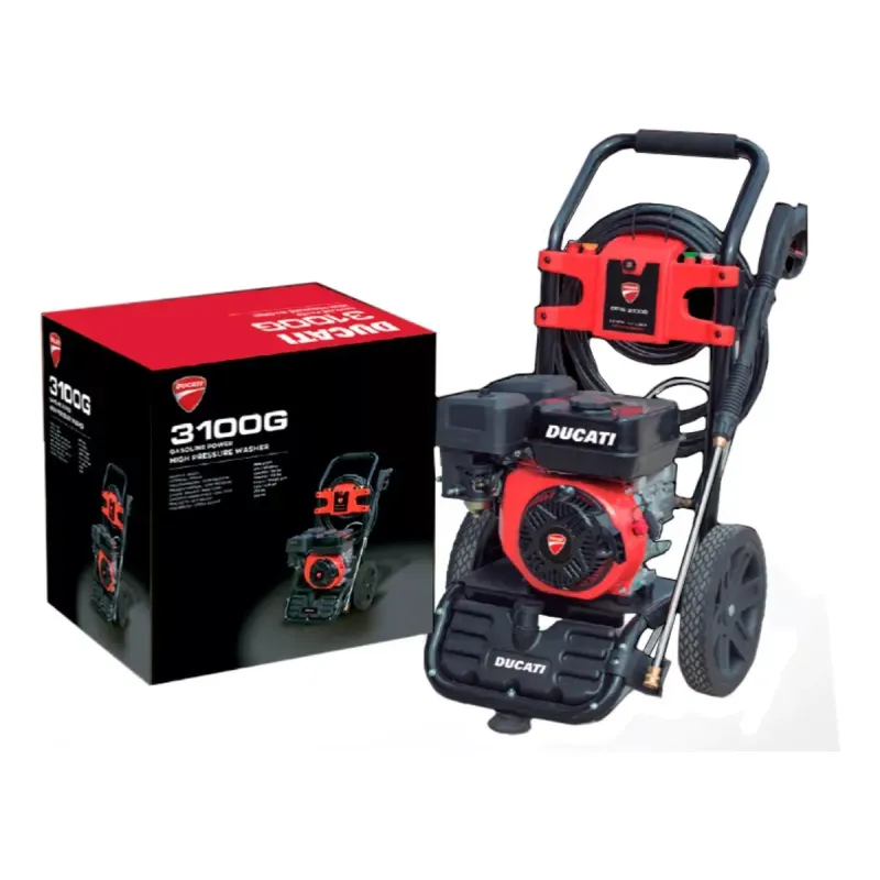 Hidrolavadora Profesional 3100 PSI-213 Bar 5,7 L/m- Motor 5,5 HP-4TT Nafta Marca Ducati