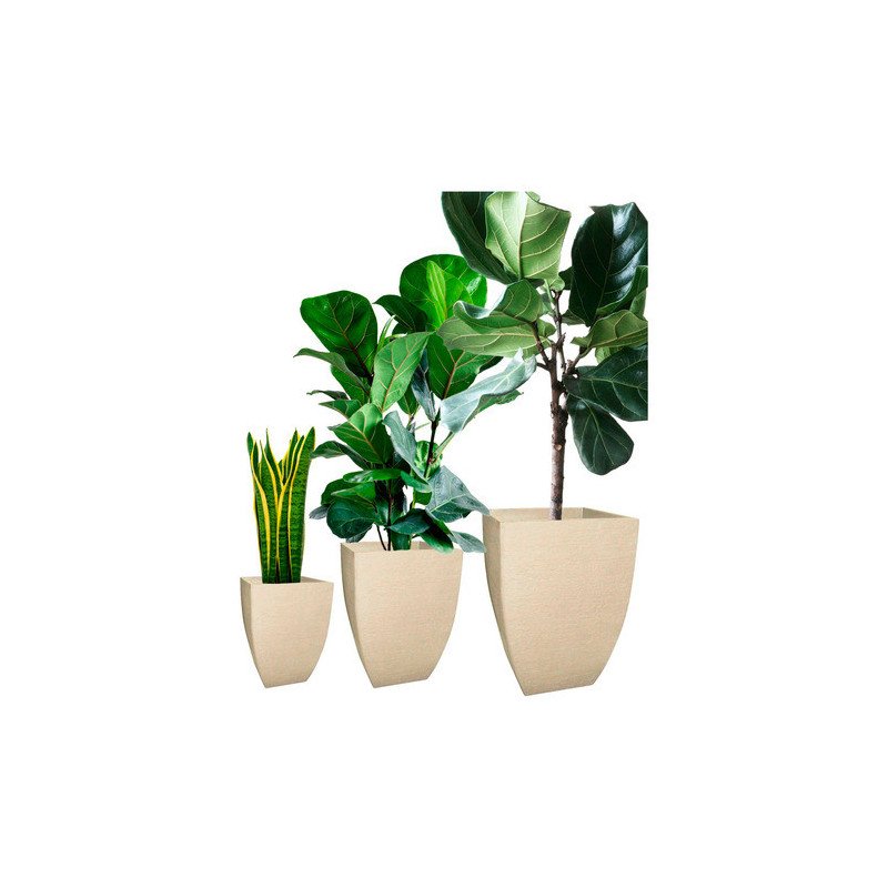 Set 3 Macetas Cuadrada Moderna Cemento Liviana Resistente Uv